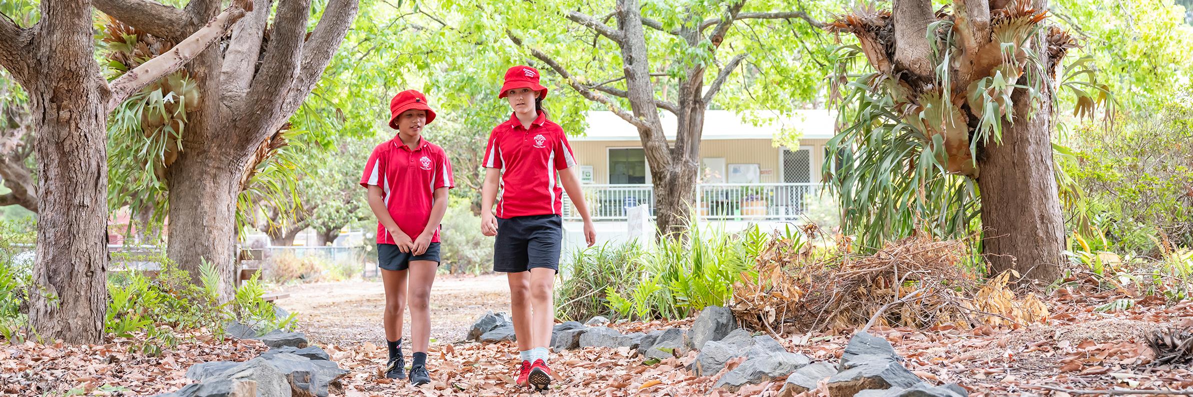 Students walking in trees